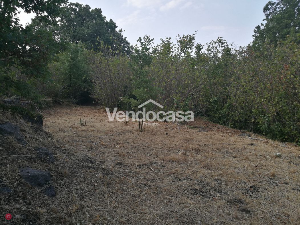 Terreno con fabbricato rurale – in vendita da privato a Mascali – foto 2